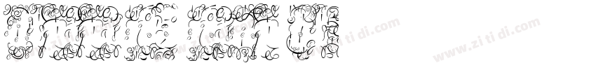 dfpipi w5 winp bf字体转换